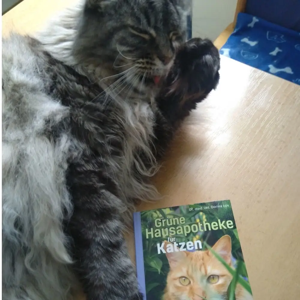 Katze mit Buch "Grüne Hausapotheke für Katzen"